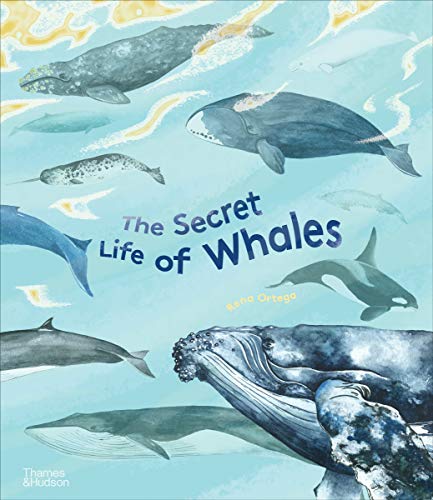 The Secret Life of Whales | Ortega, Rena